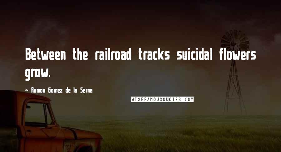 Ramon Gomez De La Serna quotes: Between the railroad tracks suicidal flowers grow.