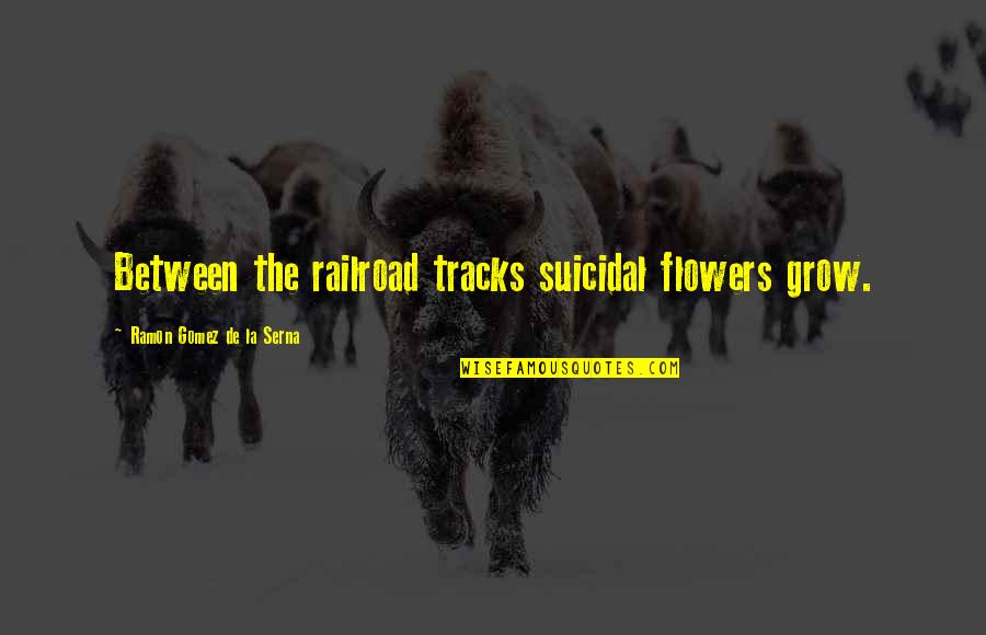 Ramon Gomez De La Serna Quotes By Ramon Gomez De La Serna: Between the railroad tracks suicidal flowers grow. Ramon Gomez De La Serna Quotes By Ramon Gomez De La Serna: Between the railroad tracks suicidal flowers grow.