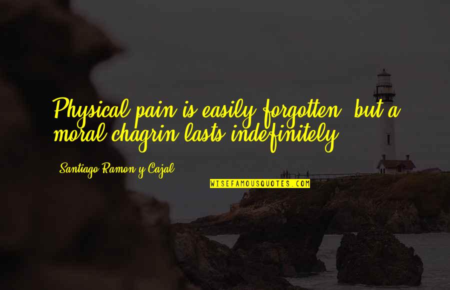 Ramon Quotes By Santiago Ramon Y Cajal: Physical pain is easily forgotten, but a moral