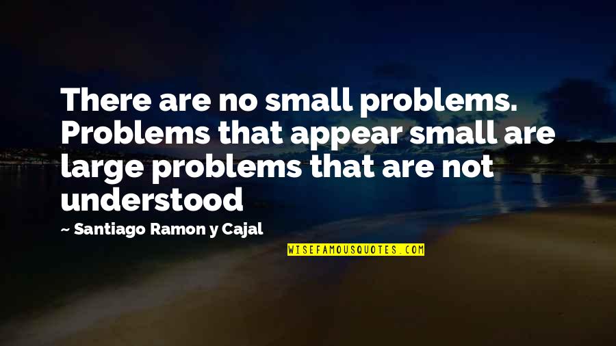 Ramon Quotes By Santiago Ramon Y Cajal: There are no small problems. Problems that appear