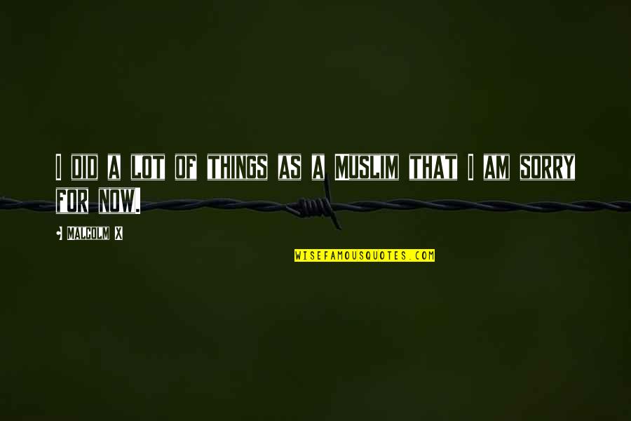 Ramotarazim Quotes By Malcolm X: I did a lot of things as a
