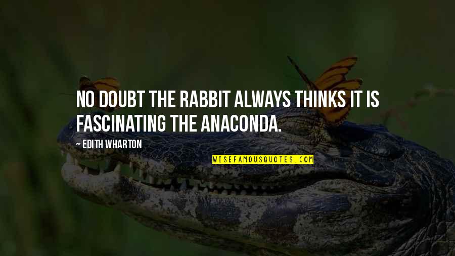 Ramper For Kids Quotes By Edith Wharton: no doubt the rabbit always thinks it is