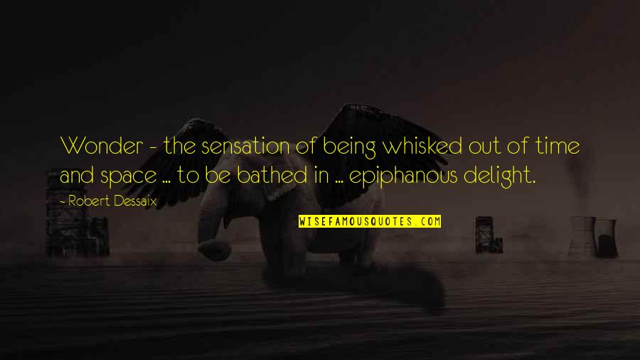 Rampolla Citation Quotes By Robert Dessaix: Wonder - the sensation of being whisked out