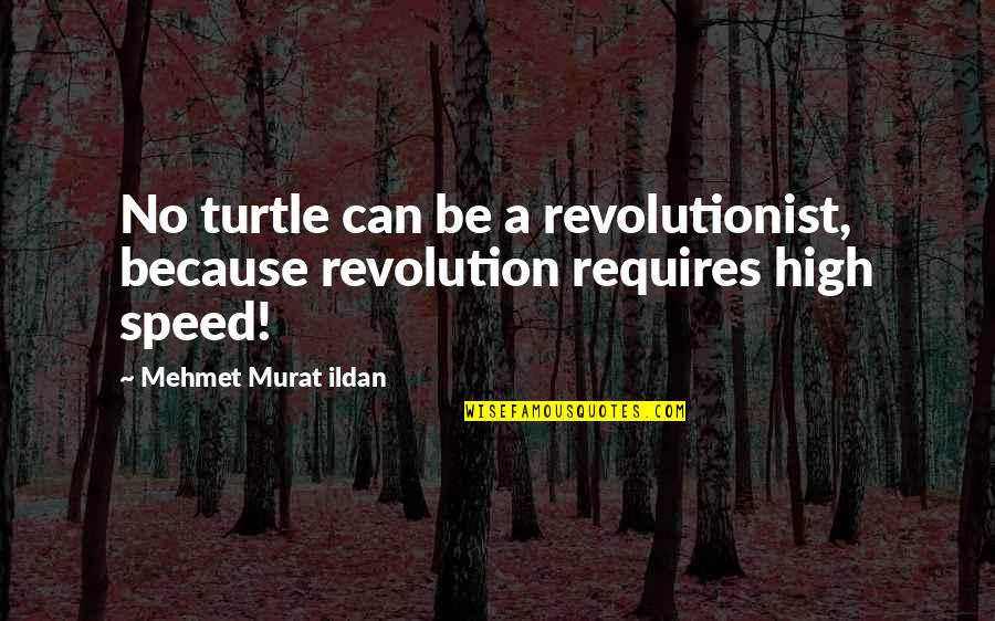 Ramsons Imports Quotes By Mehmet Murat Ildan: No turtle can be a revolutionist, because revolution