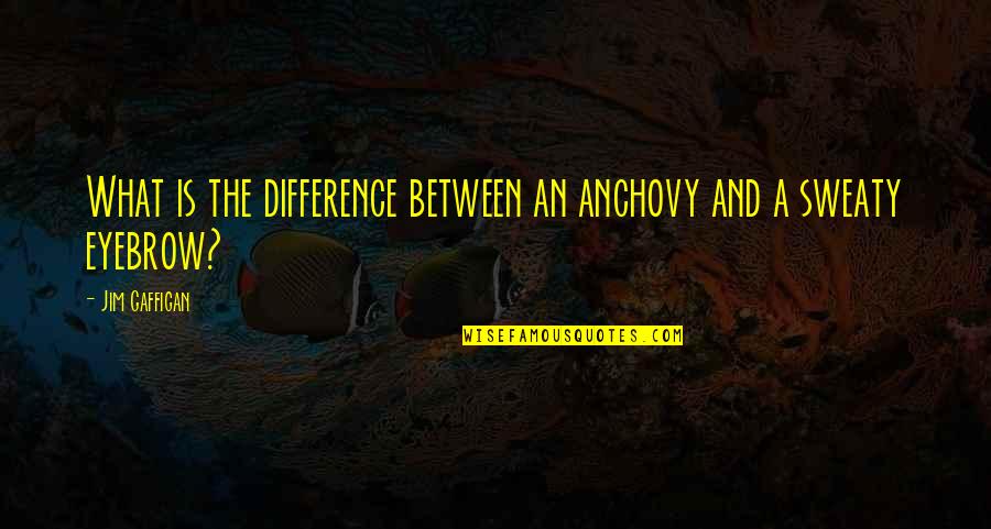 Ramuan Penumbuh Quotes By Jim Gaffigan: What is the difference between an anchovy and