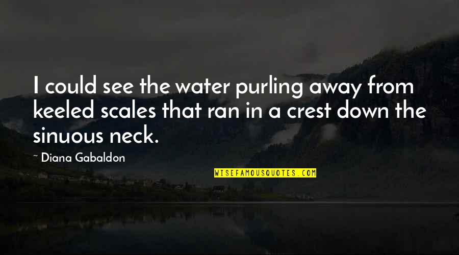 Ran Quotes By Diana Gabaldon: I could see the water purling away from