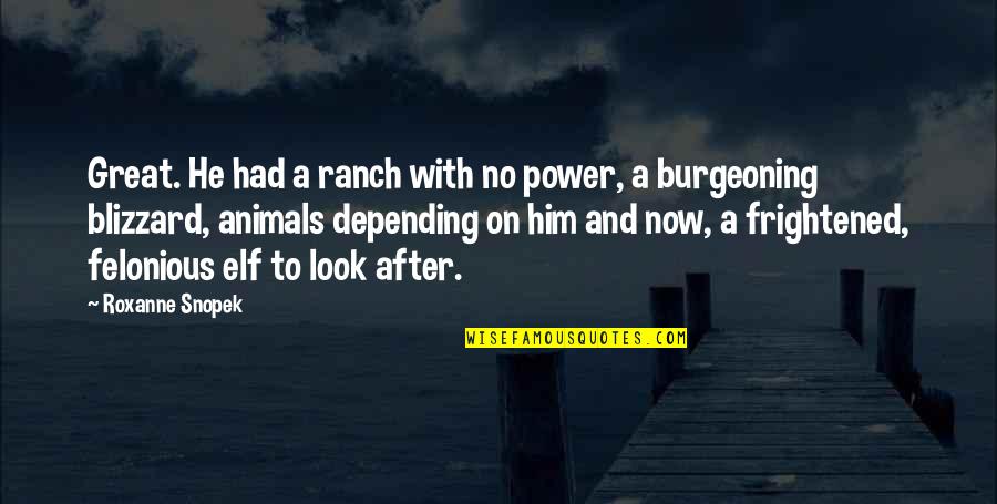 Ranch's Quotes By Roxanne Snopek: Great. He had a ranch with no power,