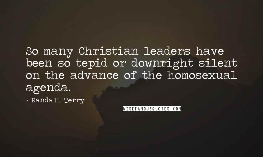 Randall Terry quotes: So many Christian leaders have been so tepid or downright silent on the advance of the homosexual agenda.