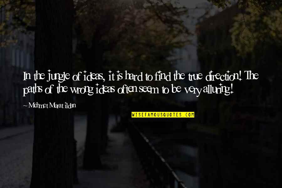 Randegger Gourmet Quotes By Mehmet Murat Ildan: In the jungle of ideas, it is hard Randegger Gourmet Quotes By Mehmet Murat Ildan: In the jungle of ideas, it is hard
