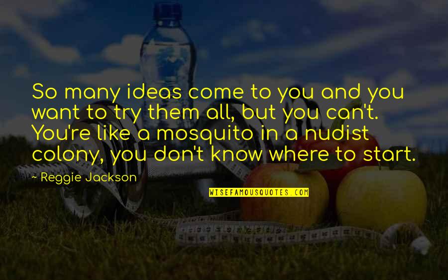 Randers Regnskov Quotes By Reggie Jackson: So many ideas come to you and you Randers Regnskov Quotes By Reggie Jackson: So many ideas come to you and you