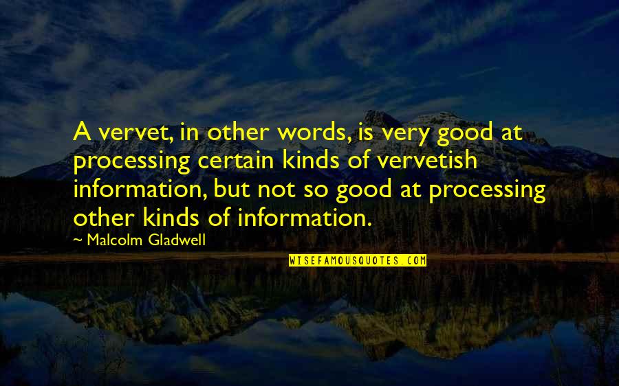 Randisvir Quotes By Malcolm Gladwell: A vervet, in other words, is very good Randisvir Quotes By Malcolm Gladwell: A vervet, in other words, is very good