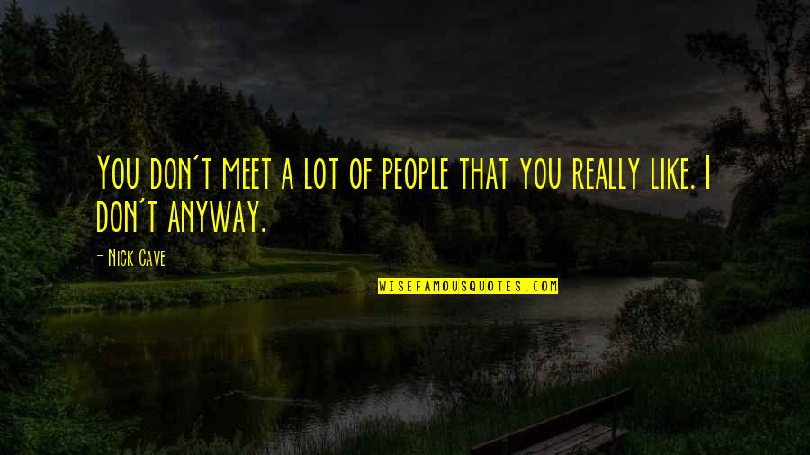 Random Cute Picture Quotes By Nick Cave: You don't meet a lot of people that