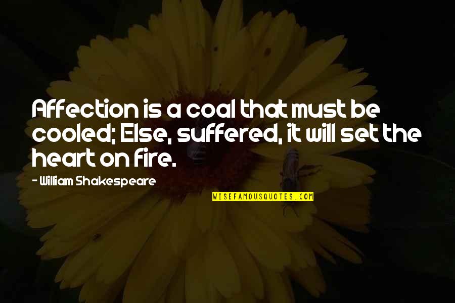 Randomness Of Life Quotes By William Shakespeare: Affection is a coal that must be cooled;