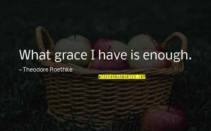 Randovision Quotes By Theodore Roethke: What grace I have is enough.