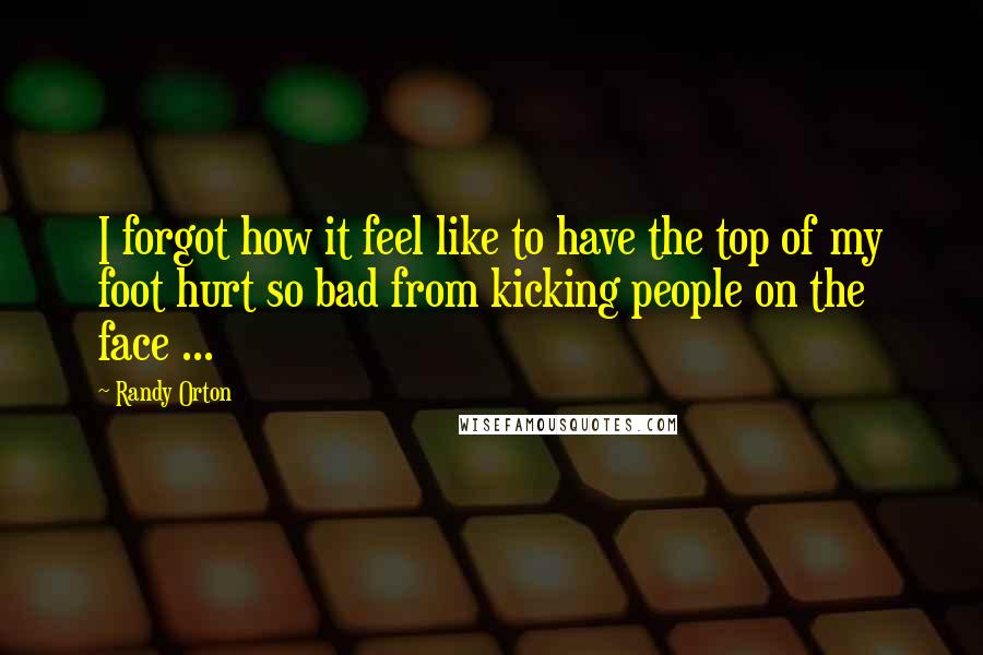 Randy Orton quotes: I forgot how it feel like to have the top of my foot hurt so bad from kicking people on the face ...