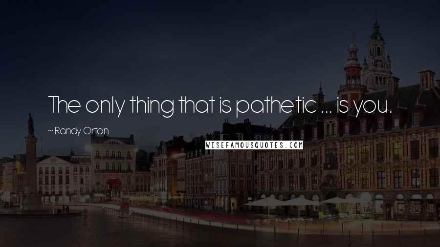 Randy Orton quotes: The only thing that is pathetic ... is you.