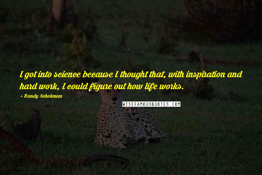 Randy Schekman quotes: I got into science because I thought that, with inspiration and hard work, I could figure out how life works.