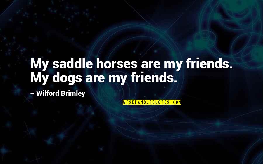 Rangoli Quotes By Wilford Brimley: My saddle horses are my friends. My dogs Rangoli Quotes By Wilford Brimley: My saddle horses are my friends. My dogs