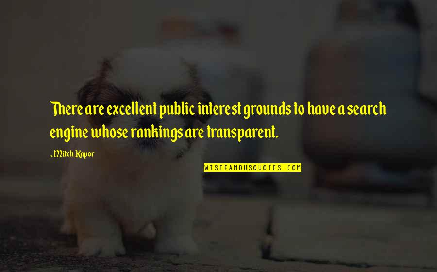 Rankings Quotes By Mitch Kapor: There are excellent public interest grounds to have