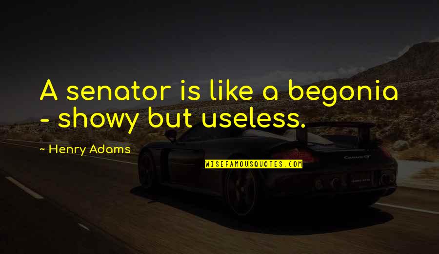 Ransie Abiog Quotes By Henry Adams: A senator is like a begonia - showy