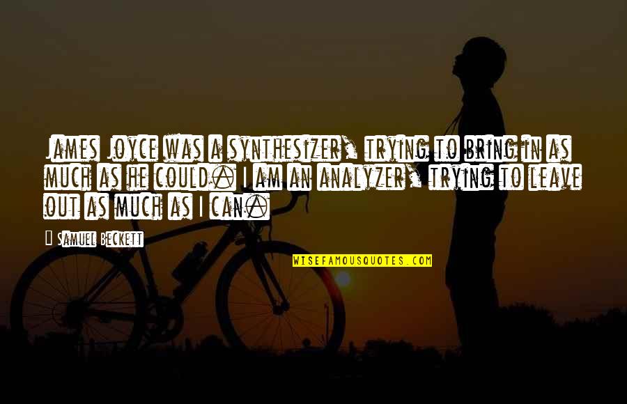 Ranveig Borland Quotes By Samuel Beckett: James Joyce was a synthesizer, trying to bring Ranveig Borland Quotes By Samuel Beckett: James Joyce was a synthesizer, trying to bring