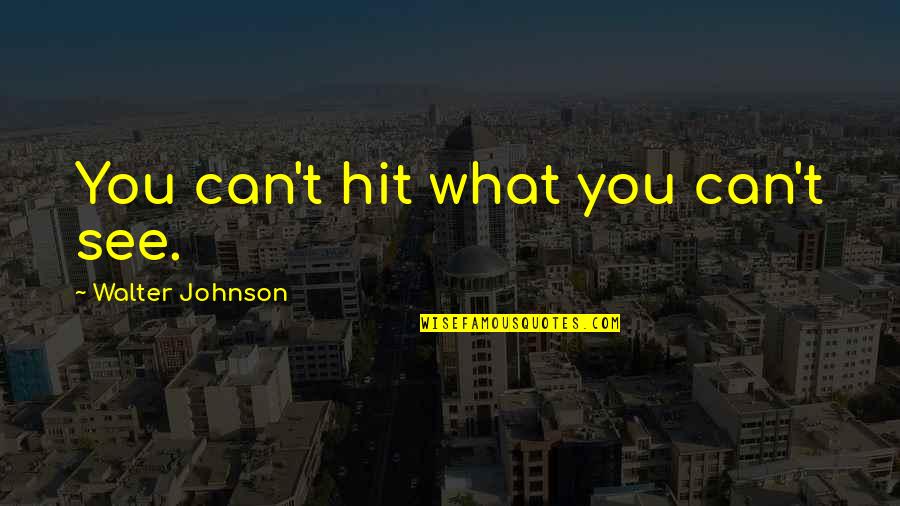 Rapamycin Inhibitor Quotes By Walter Johnson: You can't hit what you can't see.