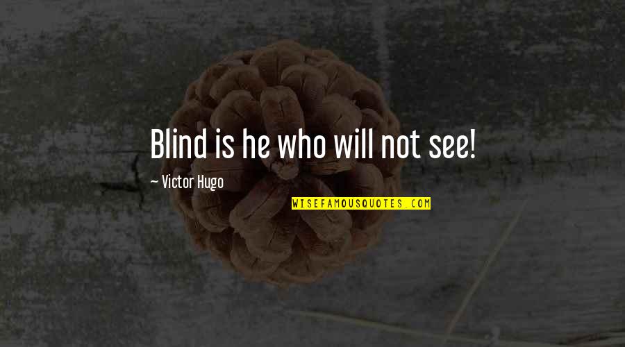 Raphael Institute Quotes By Victor Hugo: Blind is he who will not see!