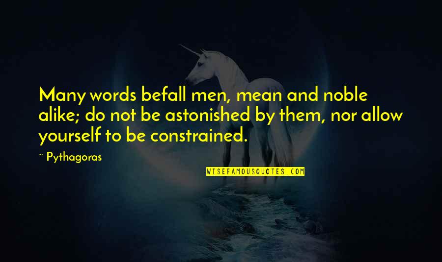Raphaelson Levine Quotes By Pythagoras: Many words befall men, mean and noble alike;