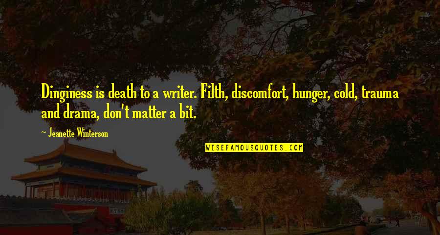 Rapid Fire Quotes By Jeanette Winterson: Dinginess is death to a writer. Filth, discomfort,