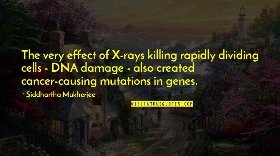 Rapidly Quotes By Siddhartha Mukherjee: The very effect of X-rays killing rapidly dividing