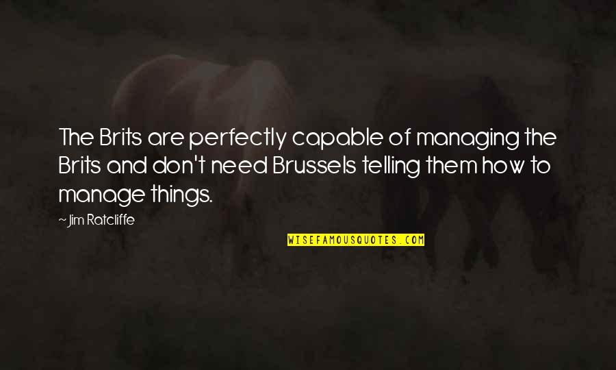 Rapina In Inglese Quotes By Jim Ratcliffe: The Brits are perfectly capable of managing the Rapina In Inglese Quotes By Jim Ratcliffe: The Brits are perfectly capable of managing the