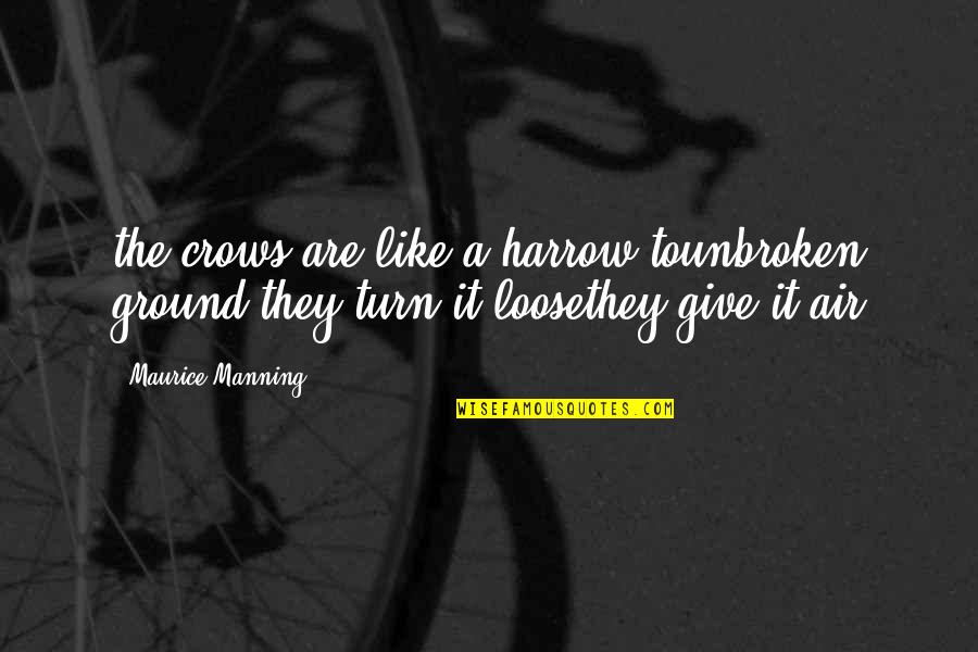 Rapina In Inglese Quotes By Maurice Manning: the crows are like a harrow tounbroken ground