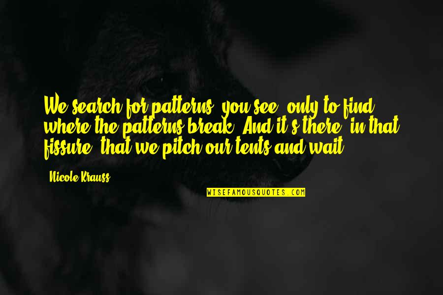 Rapitest Instructions Quotes By Nicole Krauss: We search for patterns, you see, only to Rapitest Instructions Quotes By Nicole Krauss: We search for patterns, you see, only to