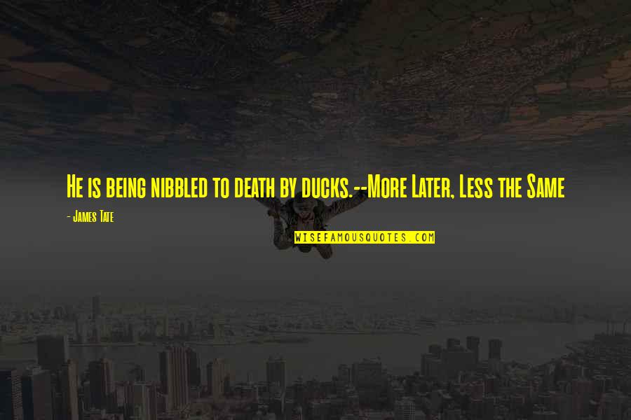 Rapone Brick Quotes By James Tate: He is being nibbled to death by ducks.--More