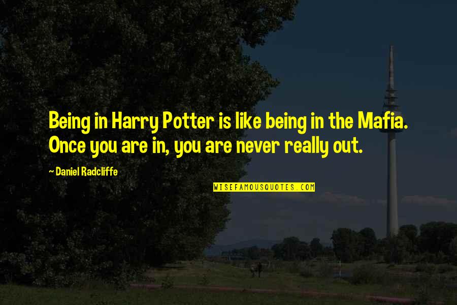 Rapones Quotes By Daniel Radcliffe: Being in Harry Potter is like being in Rapones Quotes By Daniel Radcliffe: Being in Harry Potter is like being in