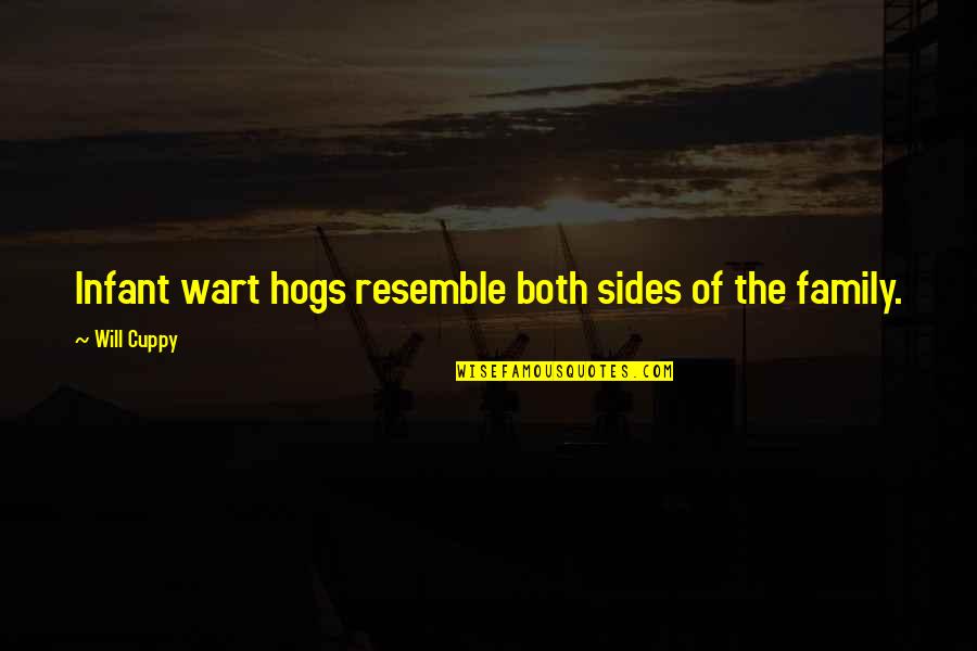 Raposa Wikipedia Quotes By Will Cuppy: Infant wart hogs resemble both sides of the Raposa Wikipedia Quotes By Will Cuppy: Infant wart hogs resemble both sides of the