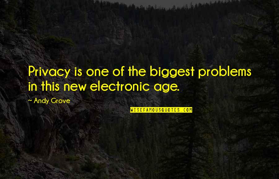 Rappers Who Died Quotes By Andy Grove: Privacy is one of the biggest problems in