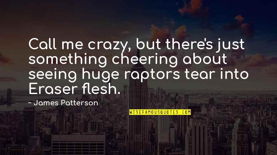 Raptors Quotes By James Patterson: Call me crazy, but there's just something cheering