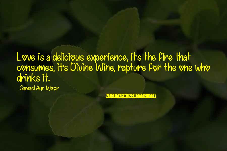 Rapture Quotes By Samael Aun Weor: Love is a delicious experience, it's the fire