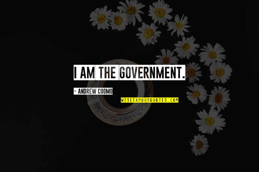 Rapunzel Best Day Ever Quotes By Andrew Cuomo: I am the government. Rapunzel Best Day Ever Quotes By Andrew Cuomo: I am the government.