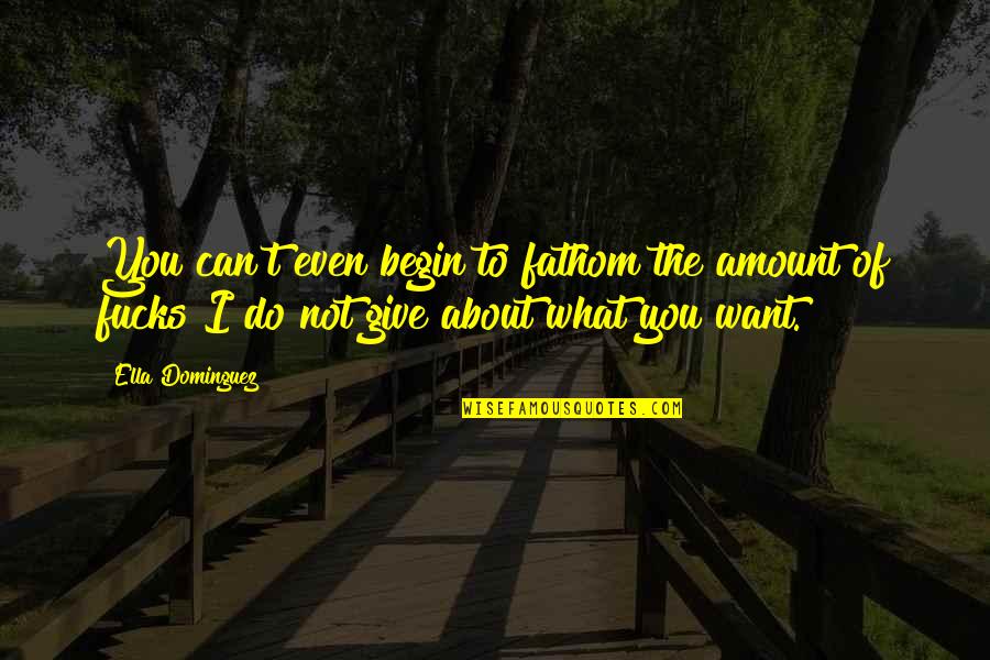 Rare And Precious Things Quotes By Ella Dominguez: You can't even begin to fathom the amount Rare And Precious Things Quotes By Ella Dominguez: You can't even begin to fathom the amount