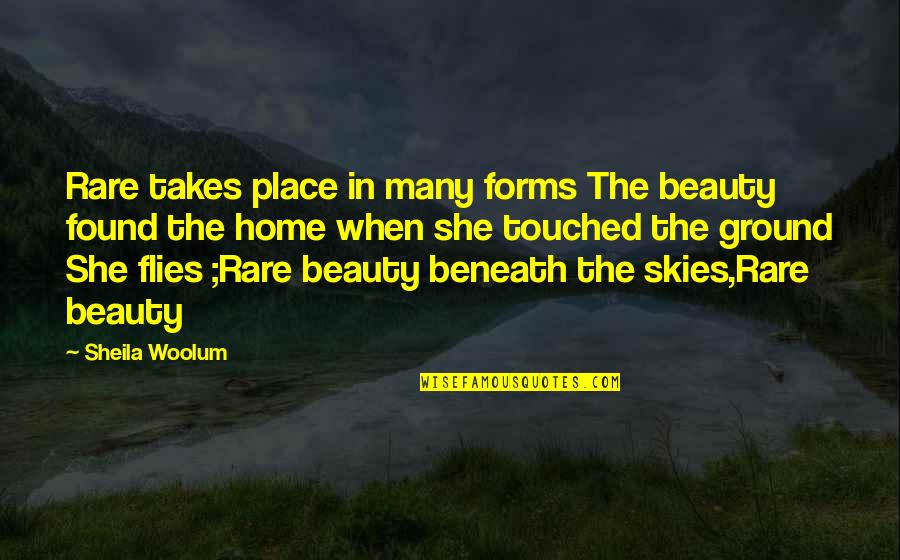 Rare Beauty Quotes By Sheila Woolum: Rare takes place in many forms The beauty