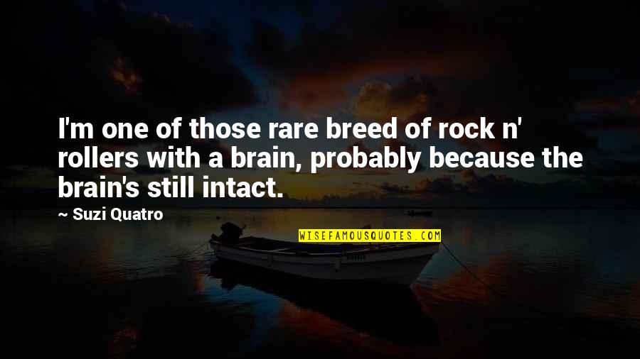 Rare Breed Quotes By Suzi Quatro: I'm one of those rare breed of rock