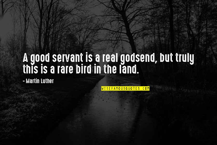 Rare But Good Quotes By Martin Luther: A good servant is a real godsend, but