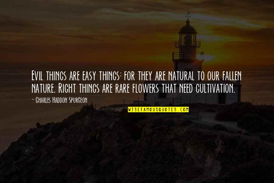 Rare Flowers Quotes By Charles Haddon Spurgeon: Evil things are easy things: for they are