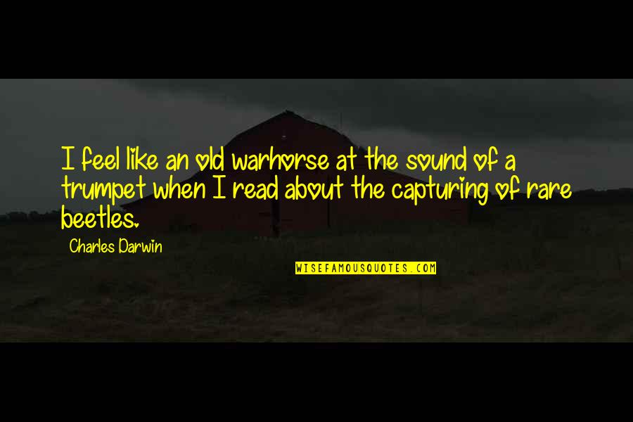 Rare Old Quotes By Charles Darwin: I feel like an old warhorse at the