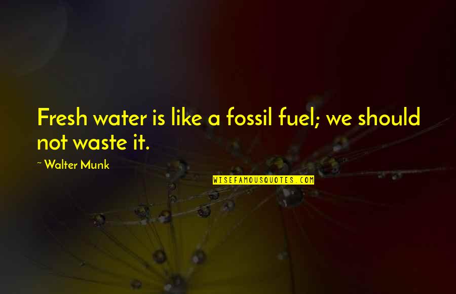 Rasam Rice Quotes By Walter Munk: Fresh water is like a fossil fuel; we