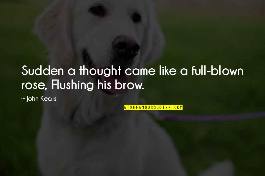 Rasema Kuduzovic Quotes By John Keats: Sudden a thought came like a full-blown rose,