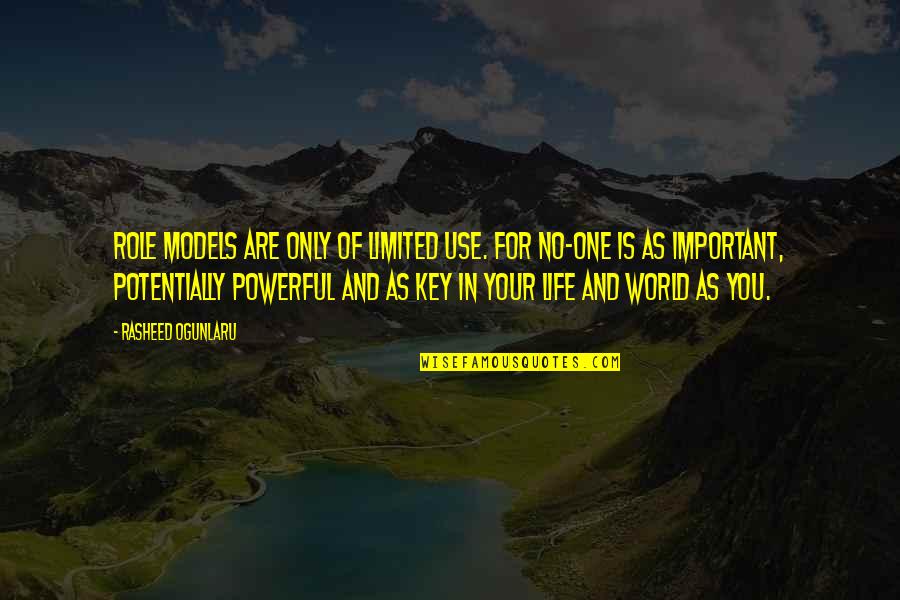 Rasheed Quotes By Rasheed Ogunlaru: Role models are only of limited use. For Rasheed Quotes By Rasheed Ogunlaru: Role models are only of limited use. For