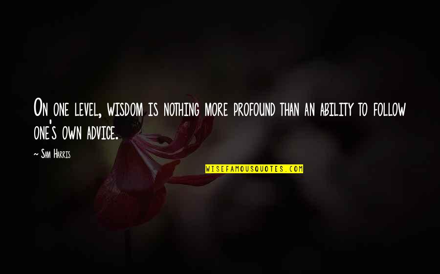 Rasheem Mcclain Quotes By Sam Harris: On one level, wisdom is nothing more profound Rasheem Mcclain Quotes By Sam Harris: On one level, wisdom is nothing more profound